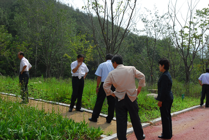 제142회 임시회 현장방문(대가야역사테마관광지 조성지)