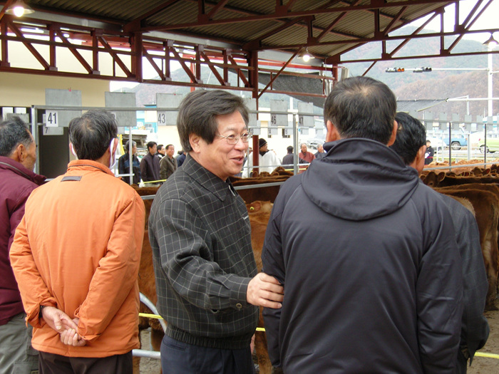 한우 경매현장 방문