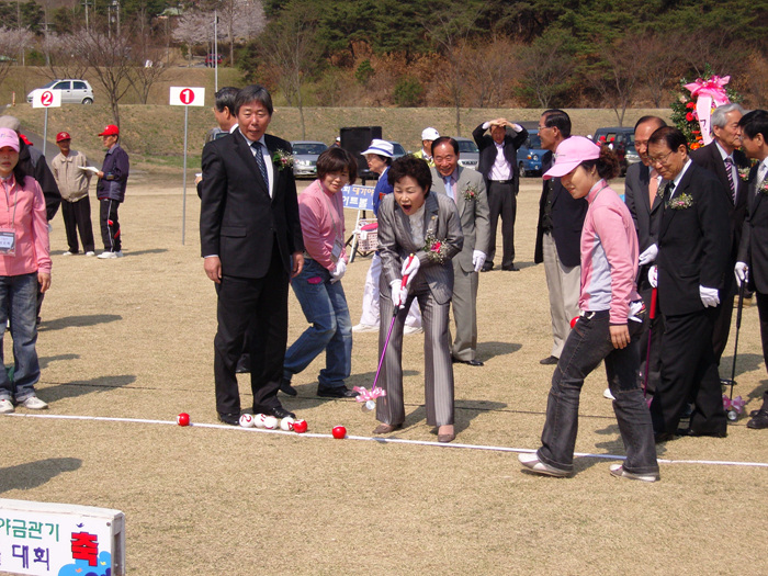 '2007 대가야체험축제' - 대가야금관기 게이트볼대회
