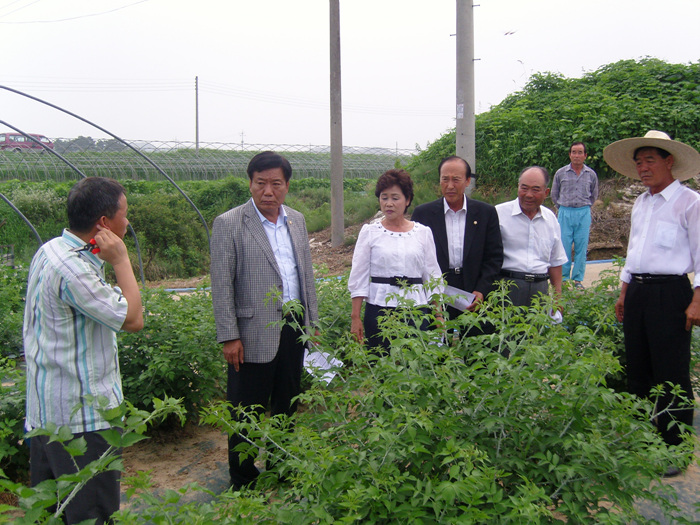 고령토종복분자 영농조합법인 주제 발표회 참석