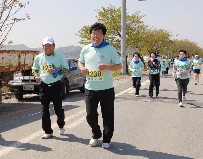 대가야 마라톤대회 참가