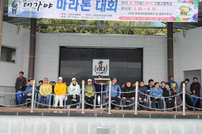 2013 대가야마라톤대회 참가