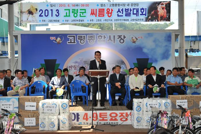 2013 고령군 씨름왕 선발대회