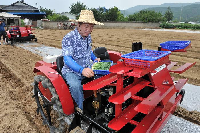 양파 정식기 시연회