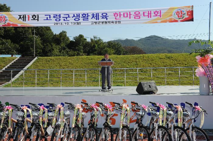 고령군 생활체육 한마음 대회