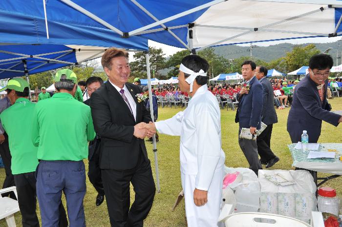 덕곡면 체육대회