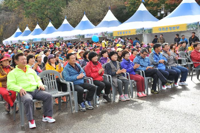 대가야 왕릉길 걷기대회