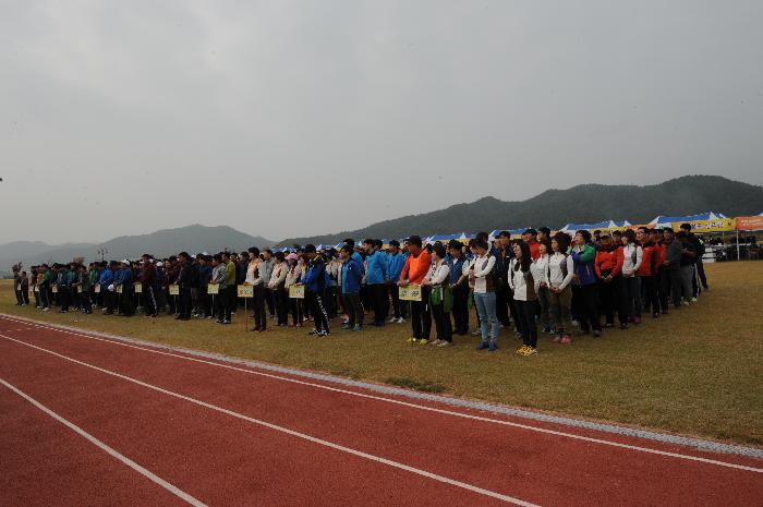 제3회 가야문화권 시군 친선체육대회