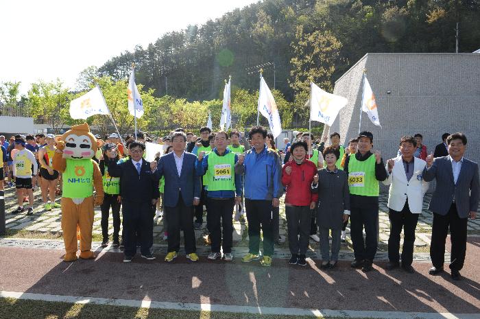 대가야마라톤대회