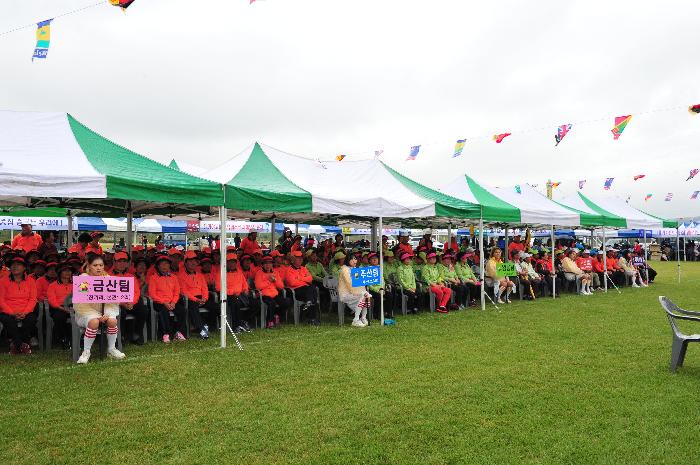 제8회 대가야읍 화합한마당