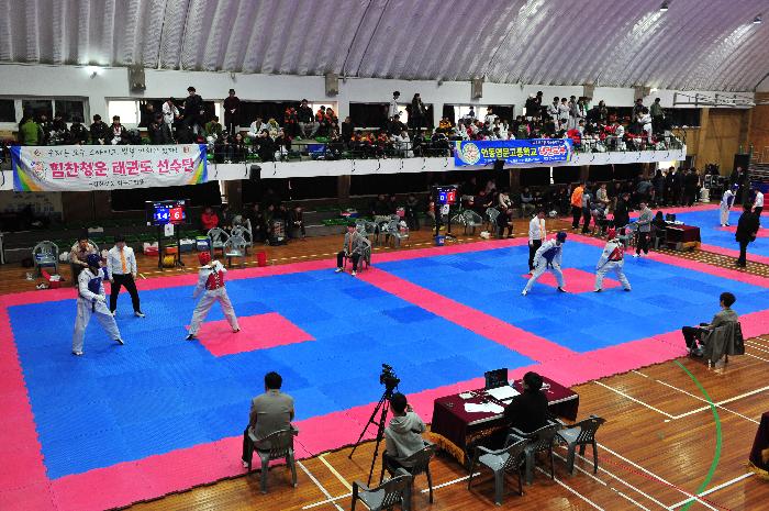 경북 신인 태권도 선수권 대회