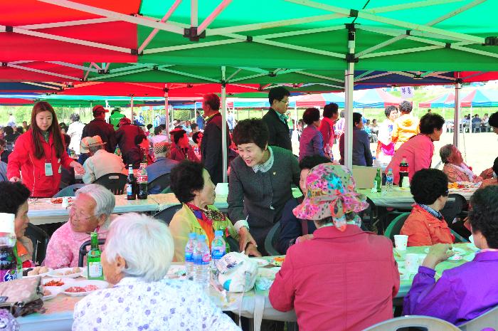 개진면 효 한마당 잔치