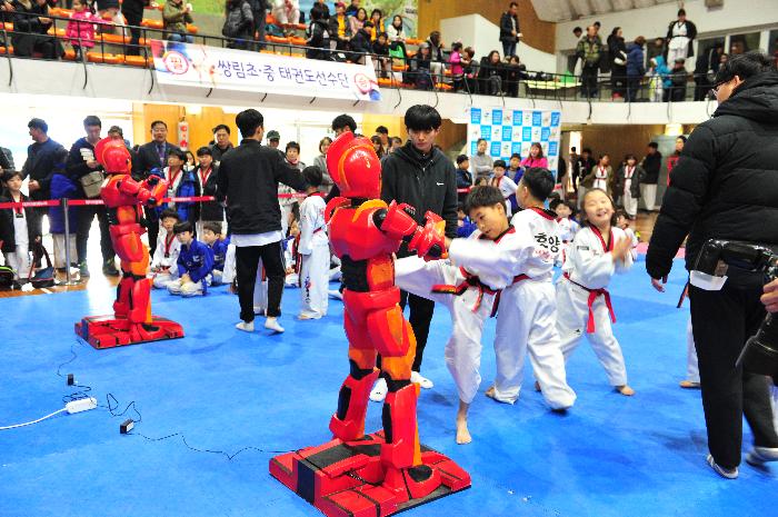 2017 고령군수배 및 제6회 협회장기 태권도 대회