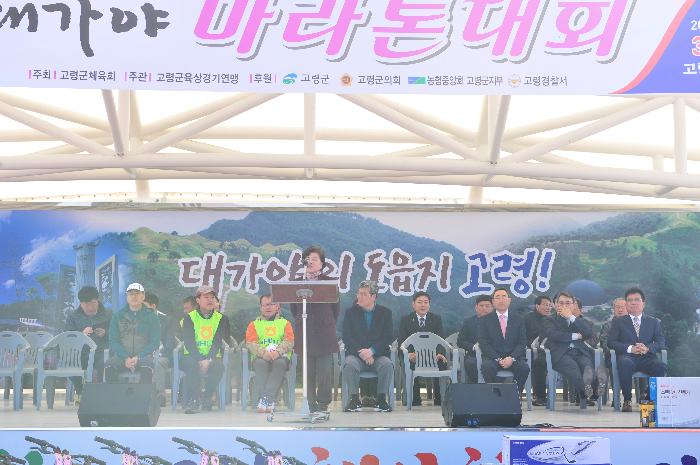 2018 대가야마라톤 대회