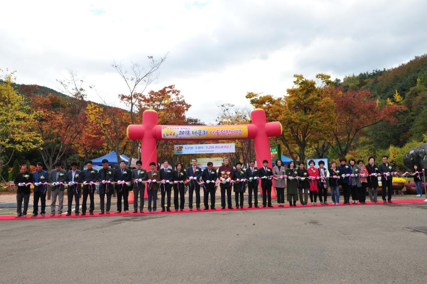 2018 가얏고마을 축제