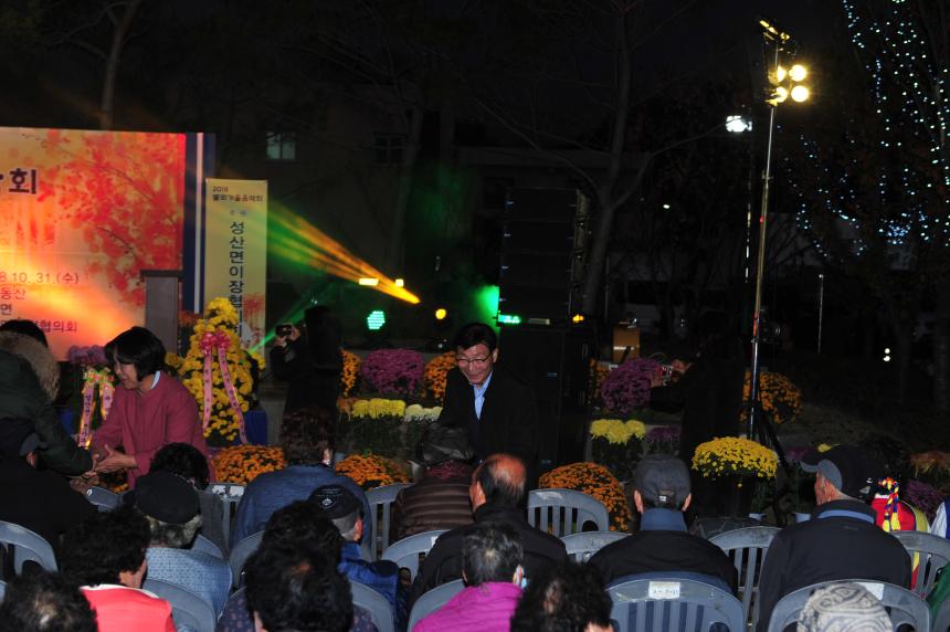 2018 별뫼 가을 음악회 및 성산면 마을평생학습축제