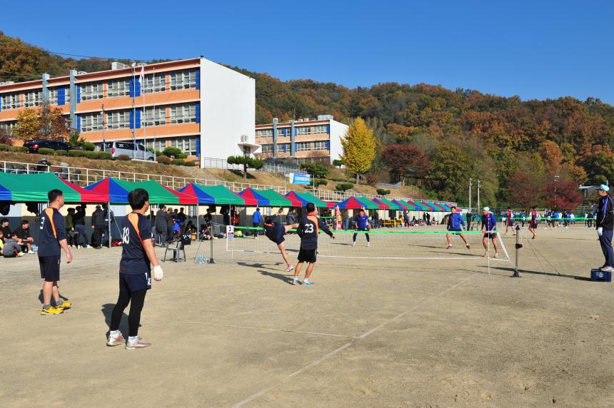 제8회 군수배 및 제3회 협회장기 족구대회