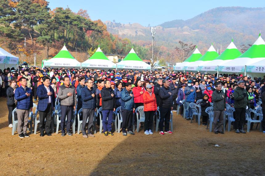 대가야 왕릉길 걷기대회