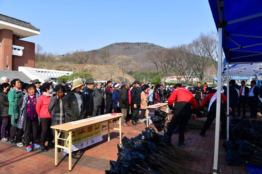 나무 나누어주기 행사