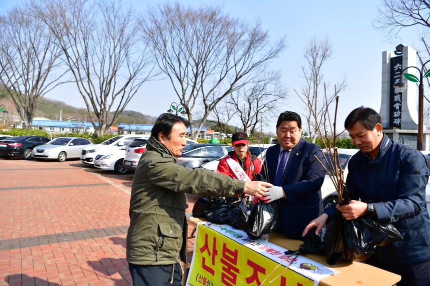 나무 나누어주기 행사