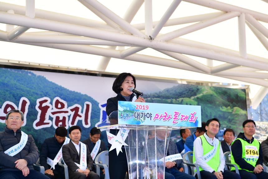 2019 대가야 마라톤대회 