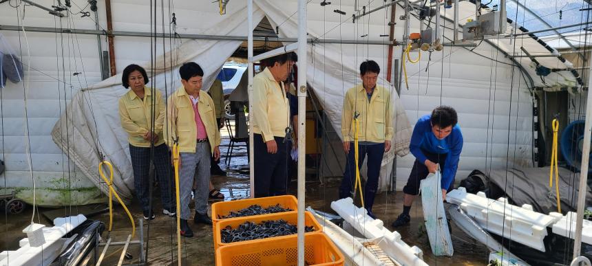 호우 피해현장점검