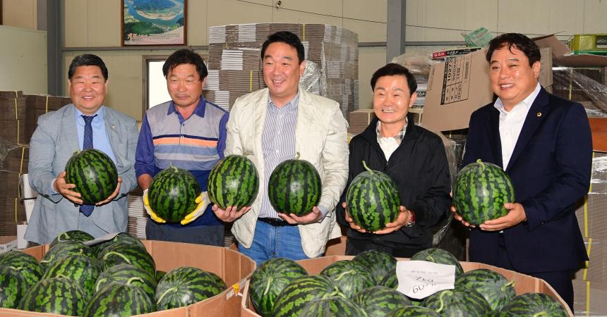 고령우곡그린수박 직판행사 개최