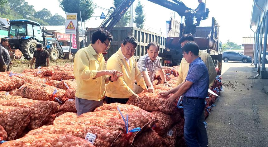 저품위 마늘 수매현장 확인점검