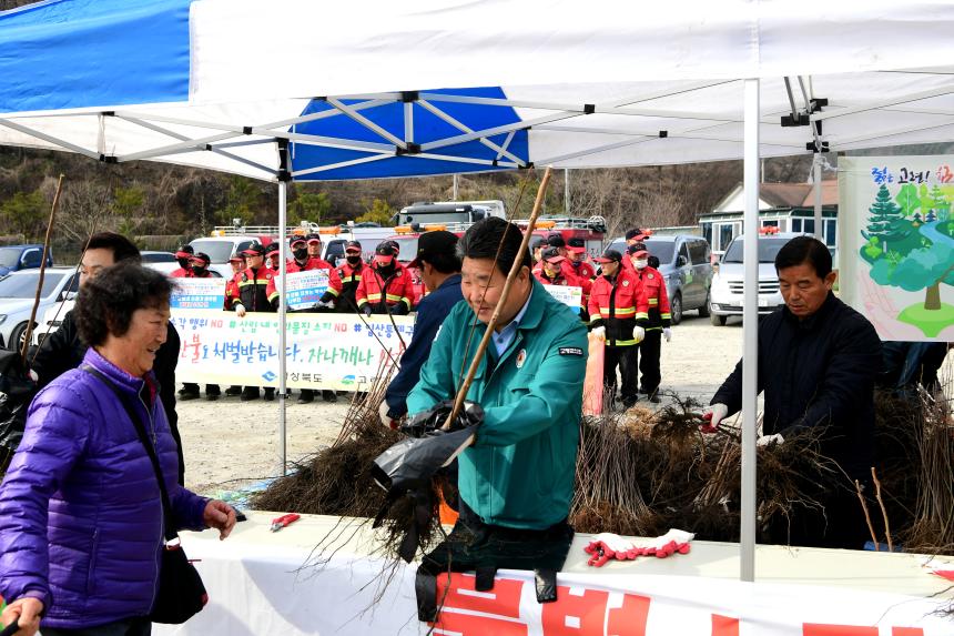 반려나무 나누어주기