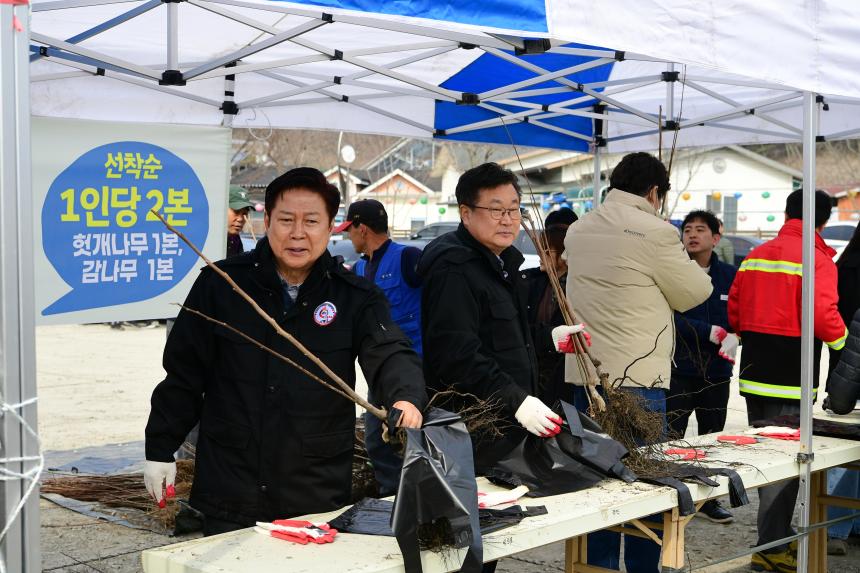 반려나무 나누어주기