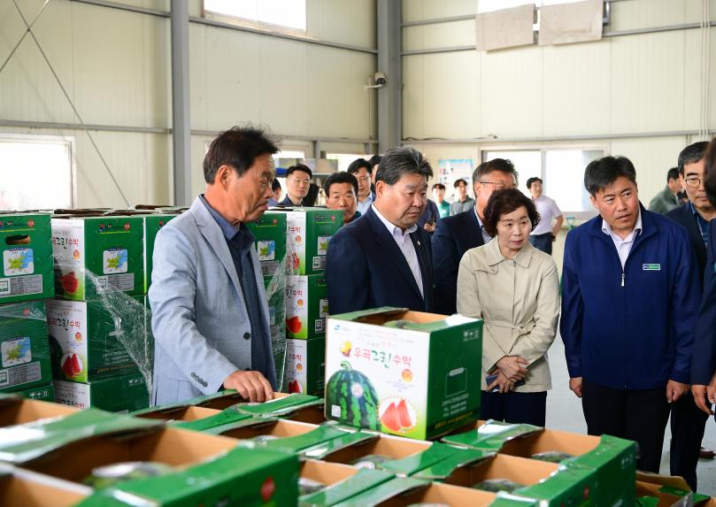 고령우곡그린 수박 직판장 개장