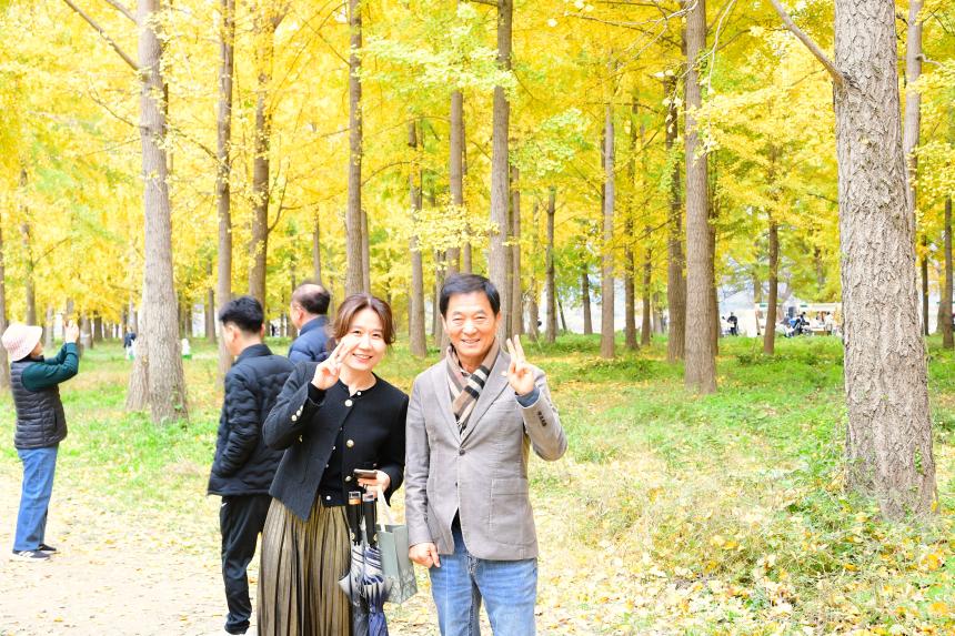 다산면 은행나무숲 가을 나들이 행사