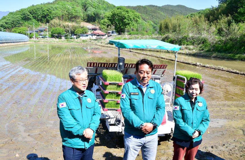 쌀전업농 첫 모내기 현장